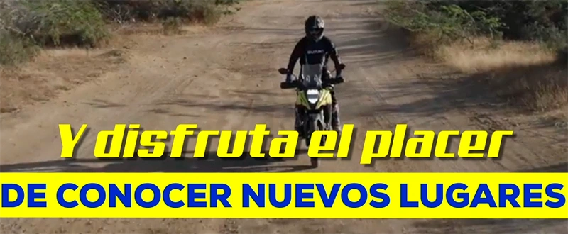 Baleno Suzuki EMKT Company