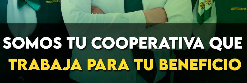 Baleno Suzuki EMKT Company