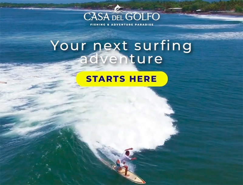 Baleno Suzuki EMKT Company