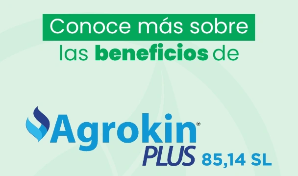 Baleno Suzuki EMKT Company