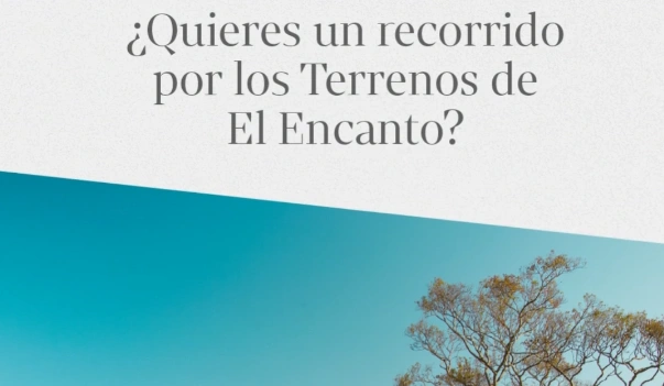 Baleno Suzuki EMKT Company