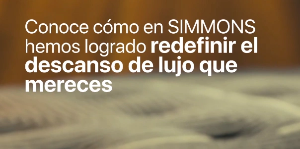 Baleno Suzuki EMKT Company