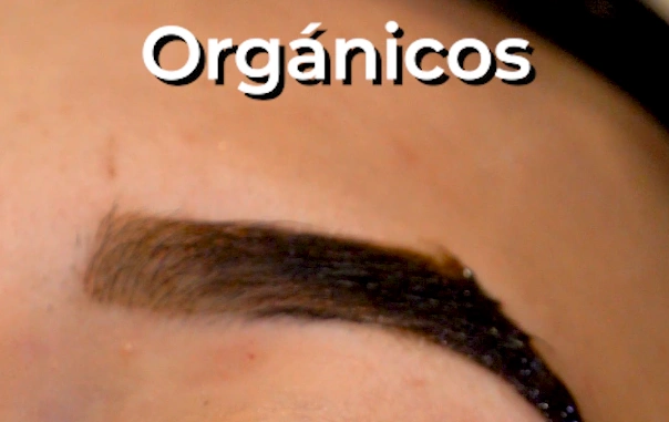 Baleno Suzuki EMKT Company